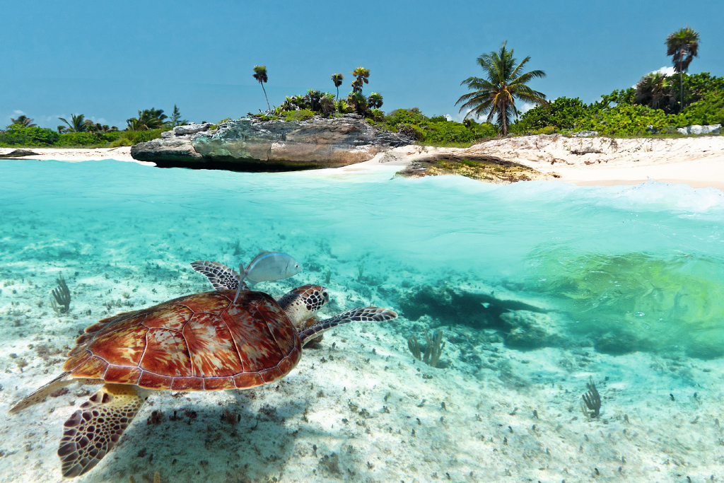 Playa del Carmen